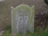 image of grave number 788571